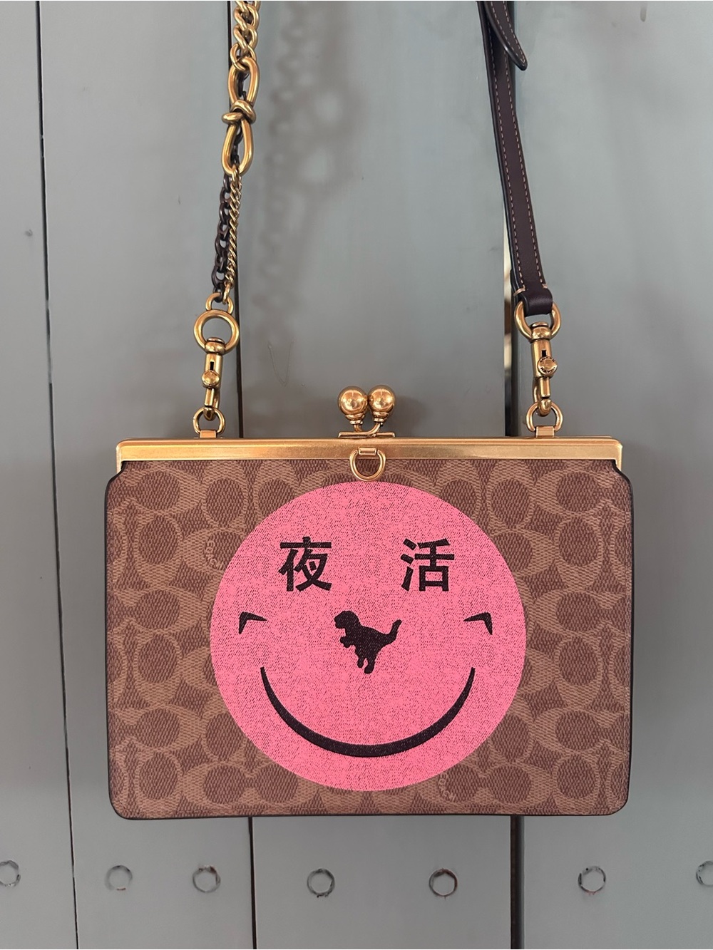 Coach Double Kisslock Bag with Rexy by Yeti Out
